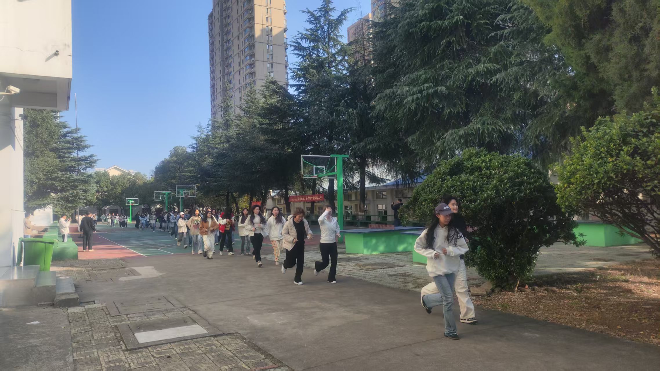 2025-11-13-11-17-37.jpg f70a2c1f444603ffc0a3d34728adef05.jpg